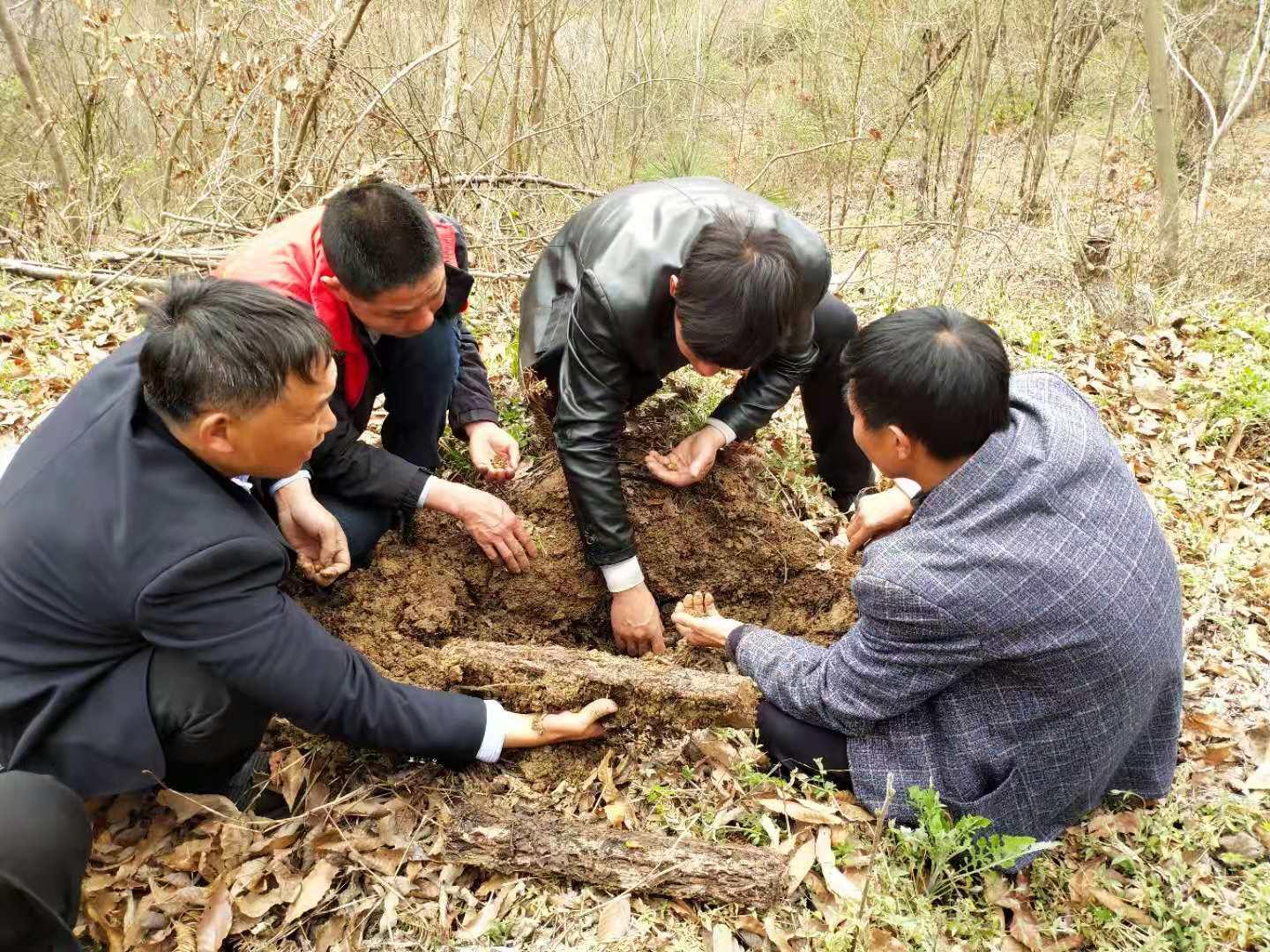 宁陕县住房和城乡建设局最新项目概览与动态