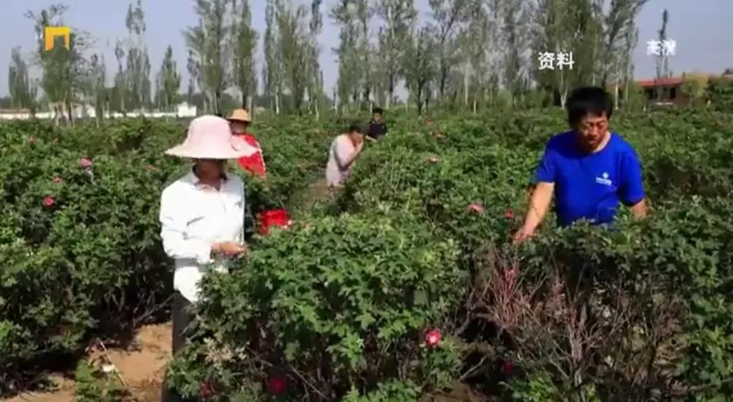 朔州市规划管理局最新动态报道