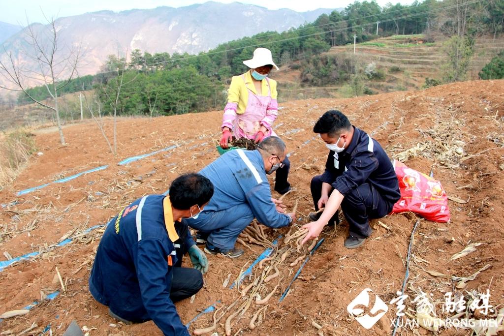 宣威市人社局新项目，地方经济与社会保障事业的新引擎