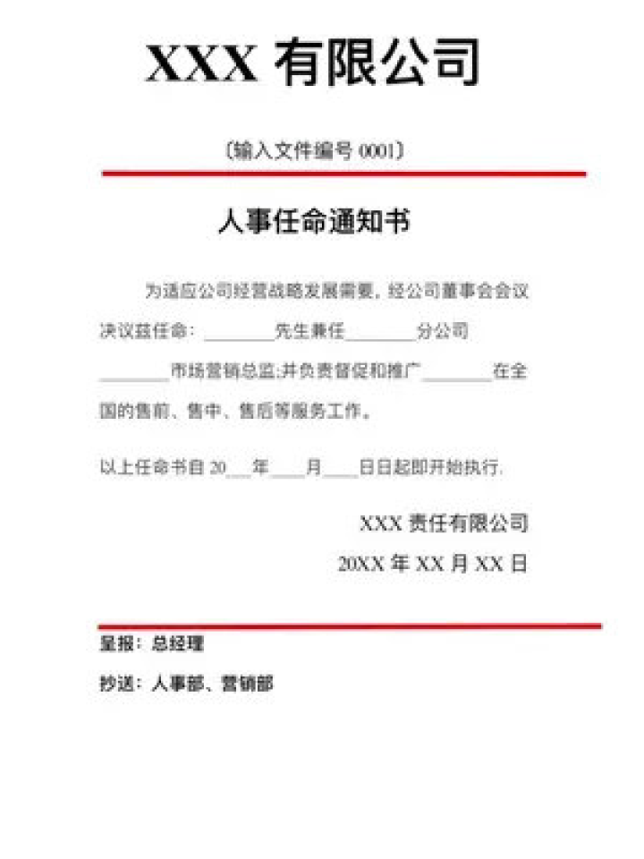 十五铺村委会人事任命揭晓，新一轮力量推动乡村发展启航