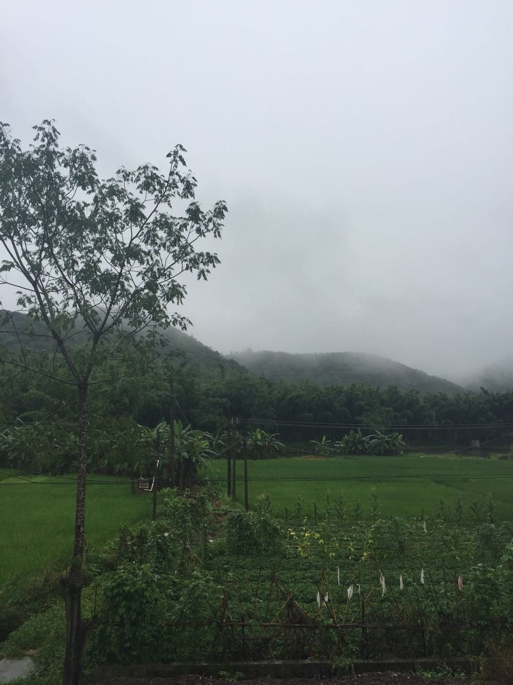 白若村今日天气预报