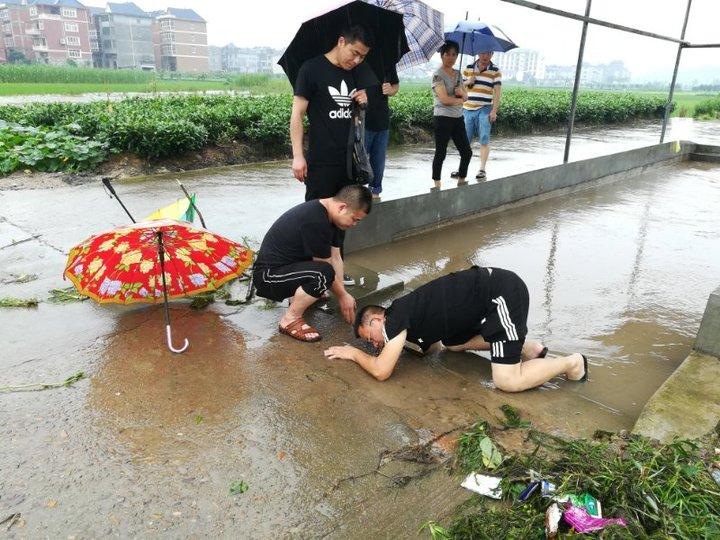 板桥畲族乡天气预报更新通知