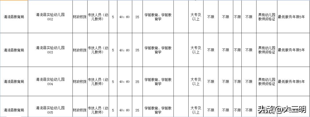 梅列区人民政府办公室最新招聘公告解读