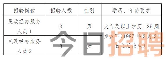 滴道区数据和政务服务局最新招聘启事概述