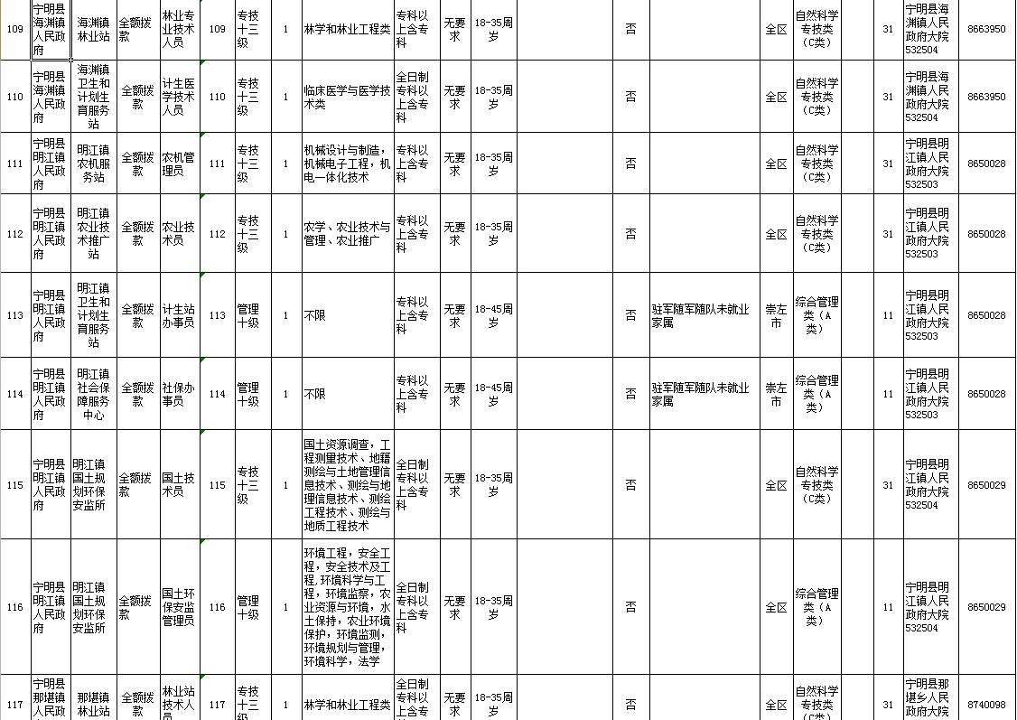 凭祥市交通运输局招聘启事，职位速递与机会