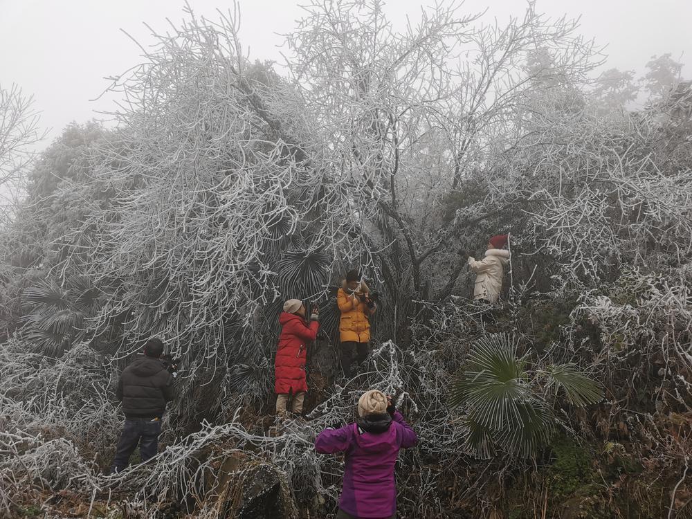 药品价格回归合理化现象深度探讨，一片药降至几分钱是否可行？