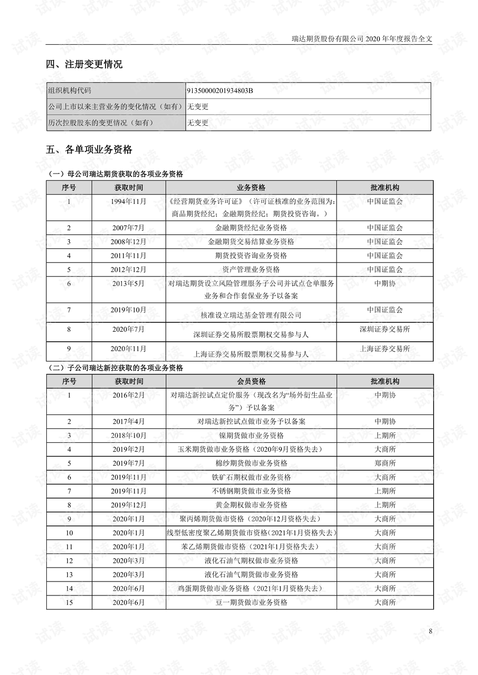 年度报告，企业成长的里程碑与未来展望之路