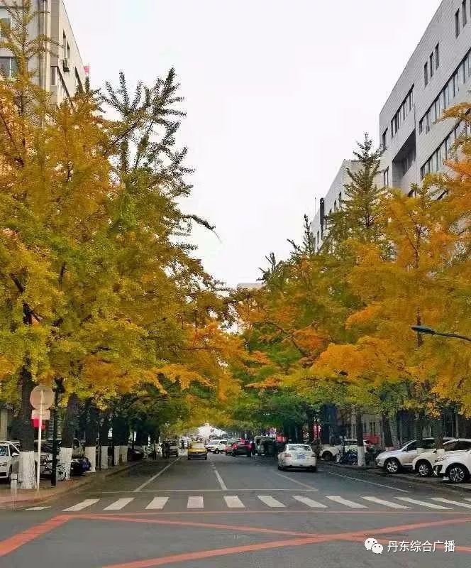 银杏路社区天气预报更新通知