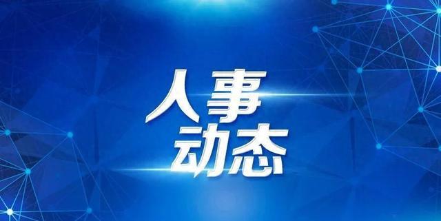 鸡西市人事局最新人事任命动态深度解析