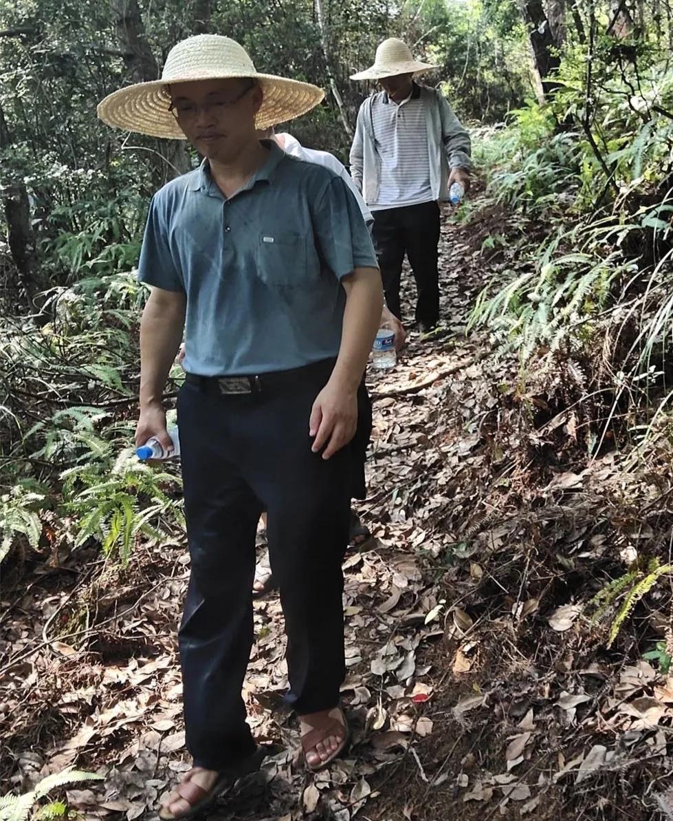 城厢镇新项目，引领地区发展的新星之光