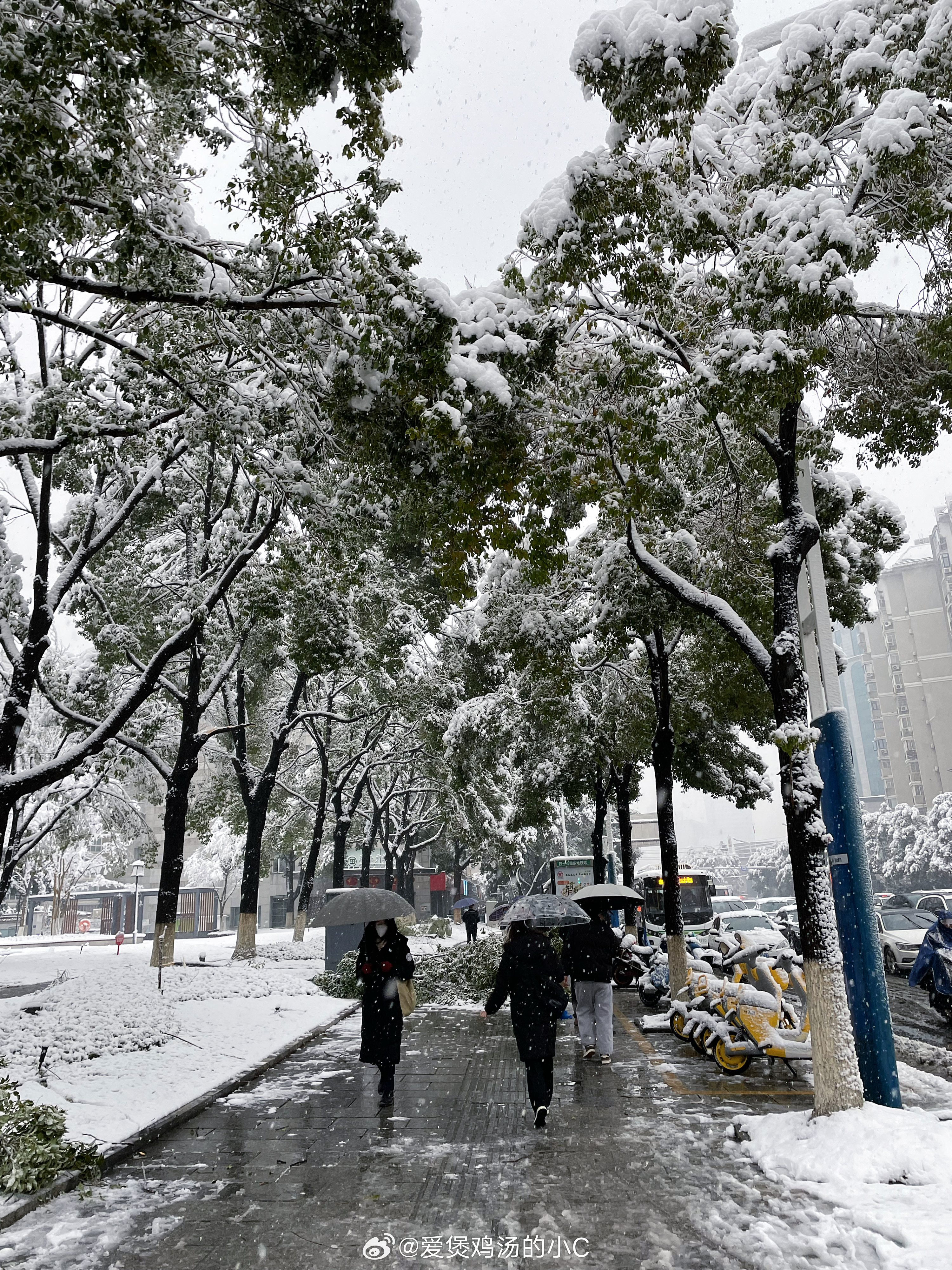 长沙迎来降雪季节