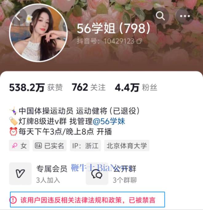 吴柳芳禁言风波背后，网络红人的兴衰与600万粉丝的流失之路