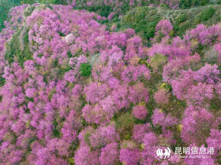 荒山健身革命，八套健身器材崭新安装启幕