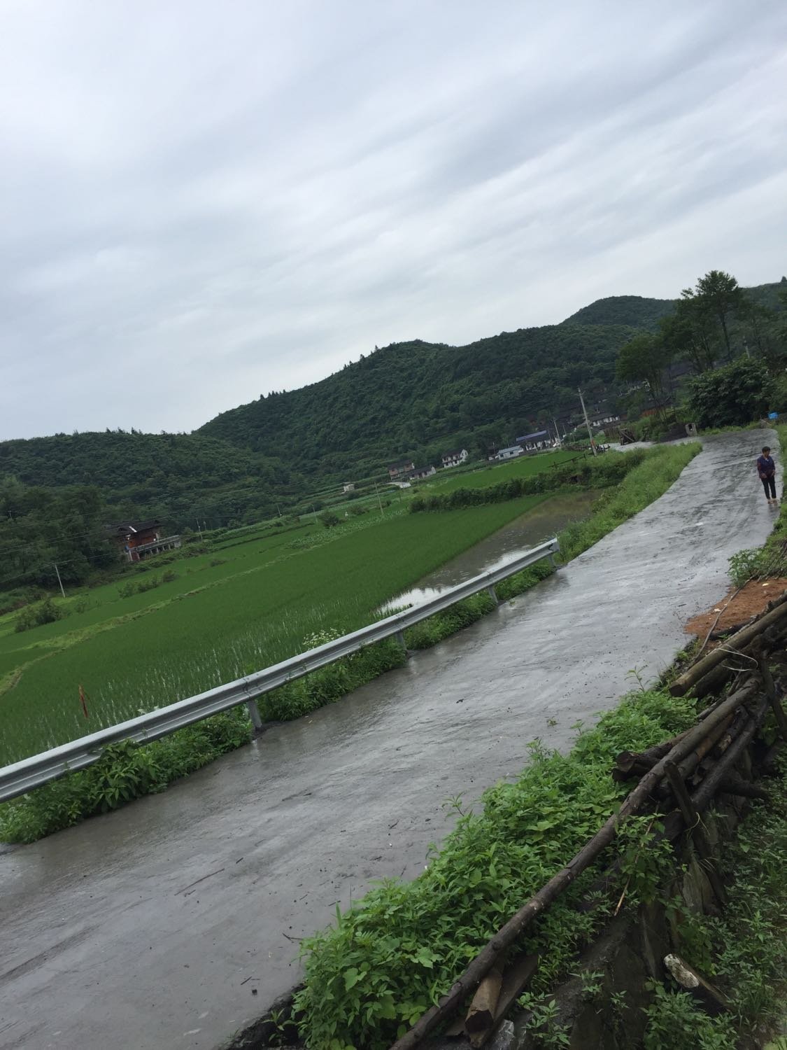 大江口乡天气预报更新通知