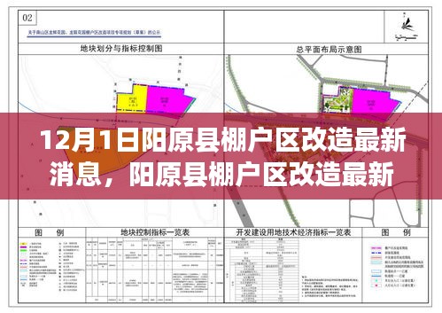 阳原县计生委最新项目进展及其社会影响概述