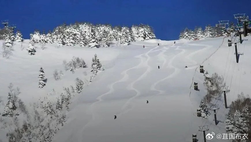 中国游客滑雪遭遇粉雪险境致悲剧，警示滑雪安全需重视