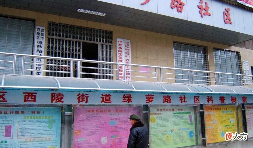 龚家坪东路社区居委会最新发展规划概览