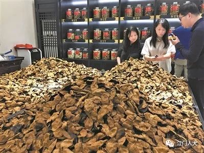 广东陈皮价格飙升背后的市场现状与未来探究，每斤达惊人高价12.8万元