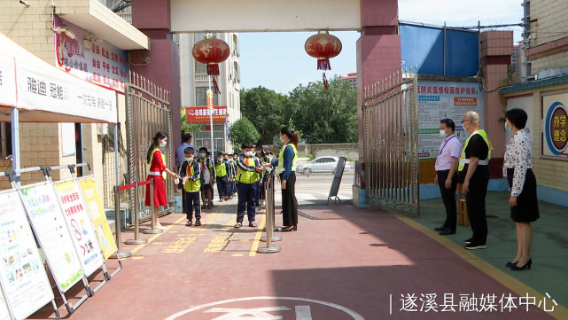 遂溪县小学未来发展规划概览