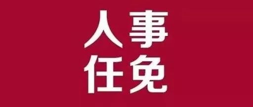 南汇区审计局人事大调整，塑造未来审计新局面