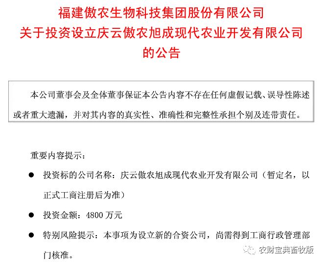 揭秘企业豪掷亿元年终奖背后的故事，员工福利狂欢与深层动因探索