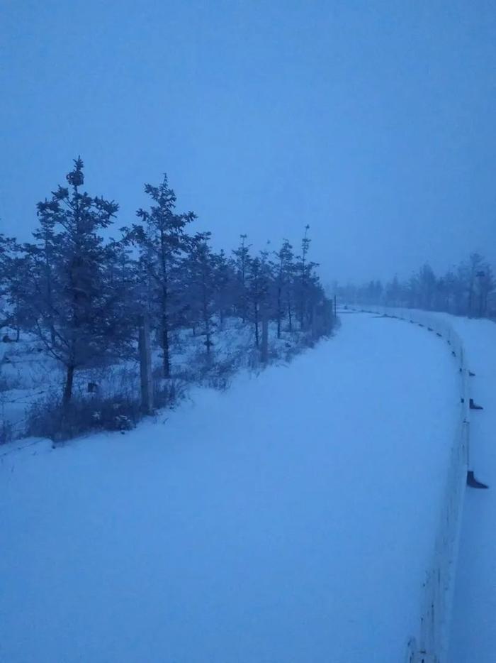 北京雪落纷飞