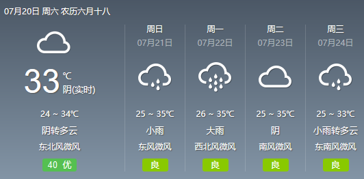 2025年1月29日 第36页