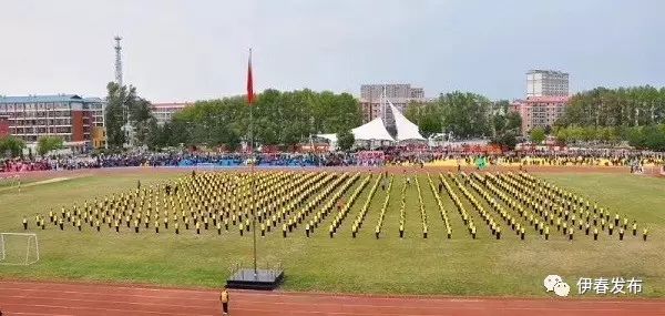 铁力市小学领导团队重塑，引领未来教育新篇章