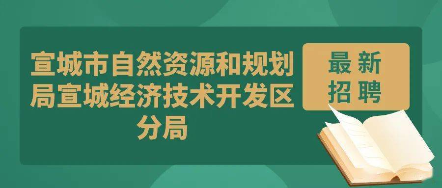 镇海区自然资源和规划局招聘启事概览