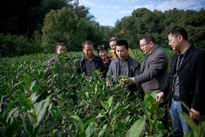 宁海县成人教育事业单位招聘最新信息全面解析