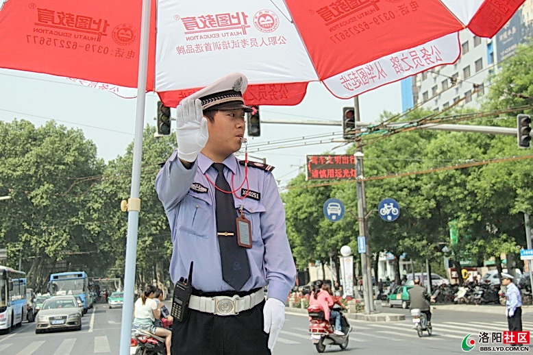 路户村委会现代化交通新篇章揭晓，迈向交通新纪元之路