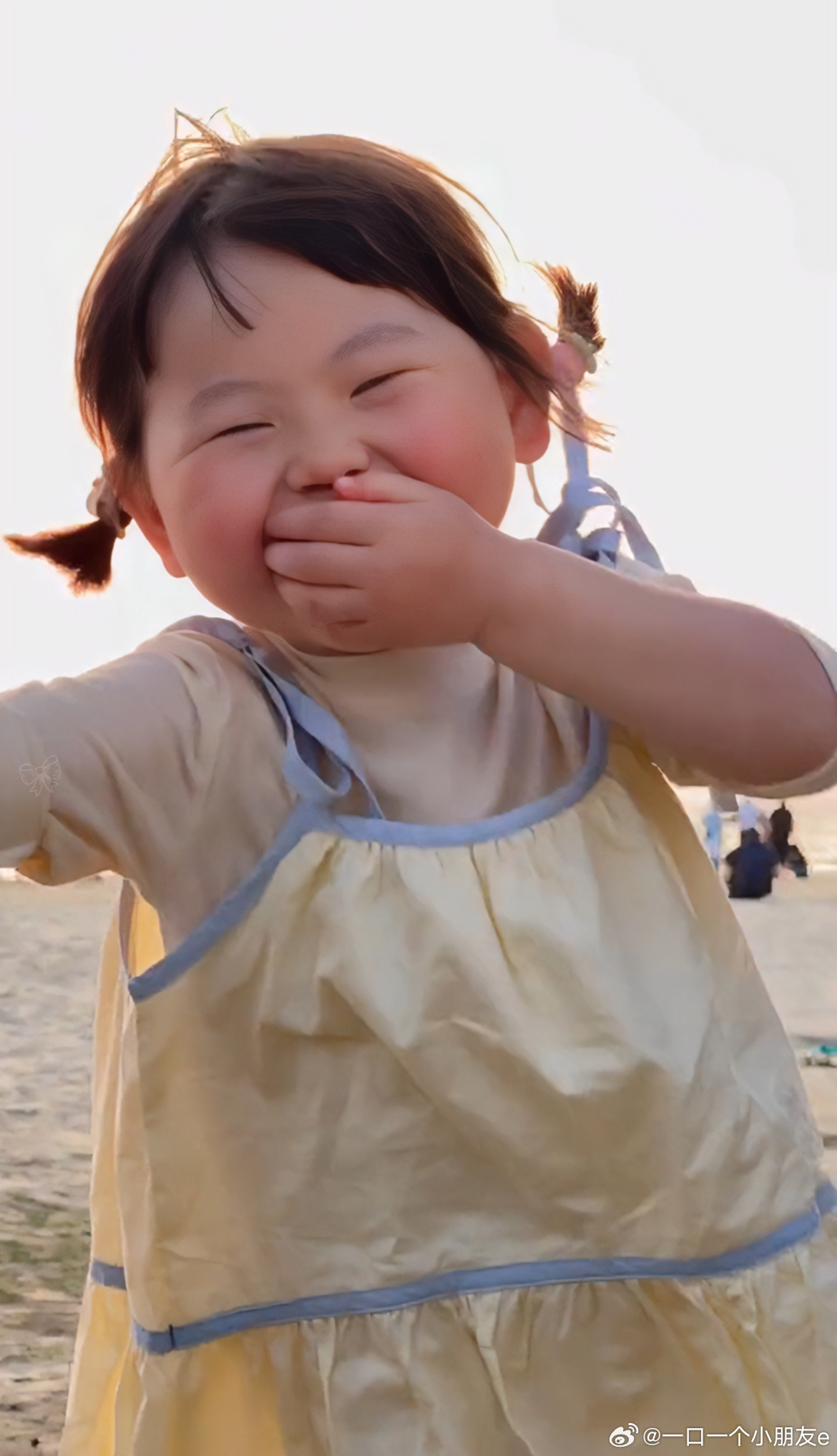 瑶一瑶小肉包，独特魅力与美食文化之旅的探寻