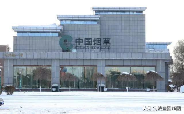 国企录用名单引质疑，背景探究、反思与未来展望