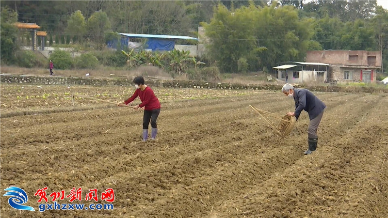 春耕备耕正当时，大地农事启新篇