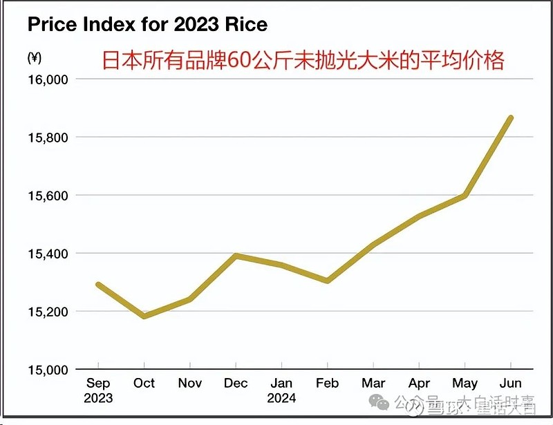 日本米价暴涨背后的中国因素，探究与影响分析