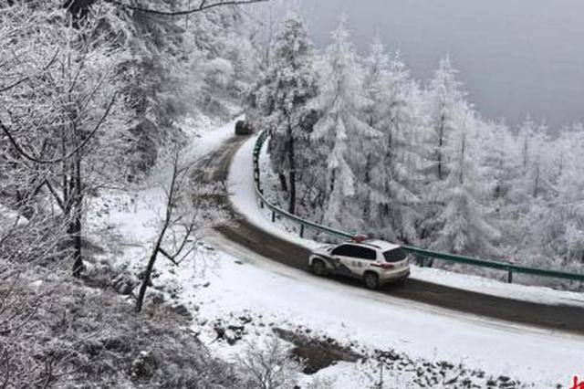 山东暴雪震撼来袭，自然力量的模糊展示