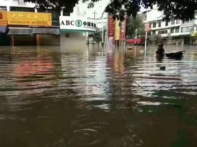 暴雨后的河南许昌，真实情况揭秘