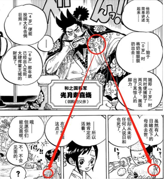 海贼王漫画第1142话情报深度解析与评价