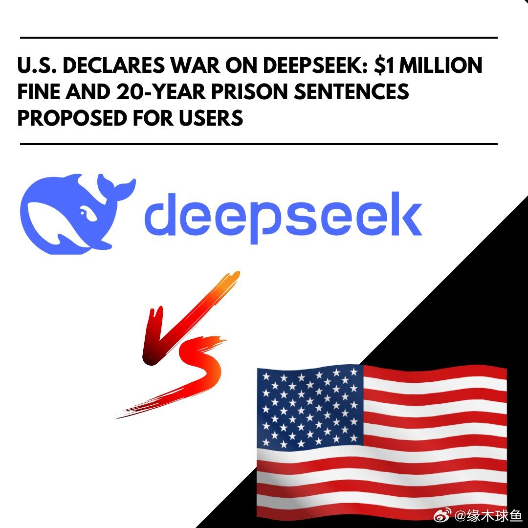 DeepSeek，最强女委员的宣言